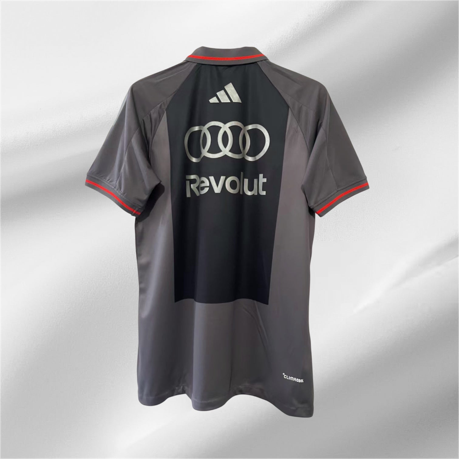 Audi Team Polo 2026